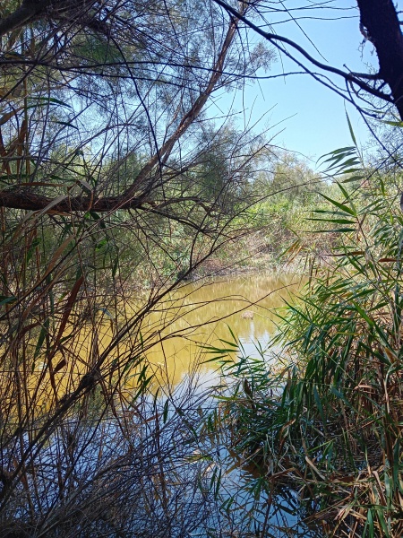 קובץ:2025-07-22T13 53 17.483933553758.jpg