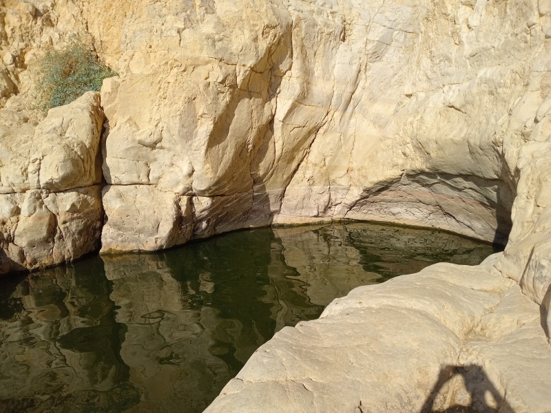 קובץ:2025-07-22T17 39 16.359629202768.jpg