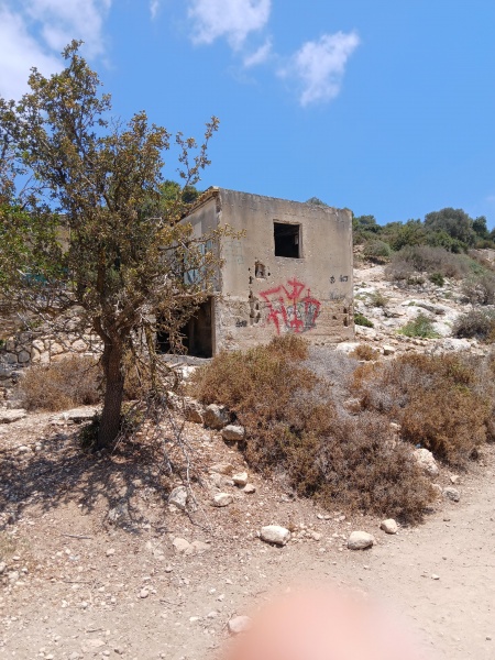 קובץ:2025-07-23T12 40 34.756553257567.jpg
