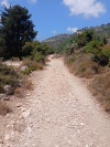 2025-07-23T12 45 13.931428524130.jpg