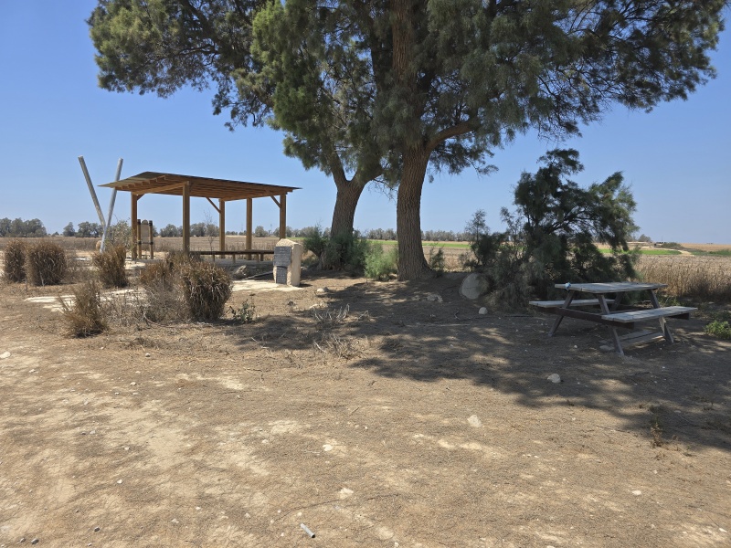 קובץ:2025-07-23T13 31 30.053138522009.jpg