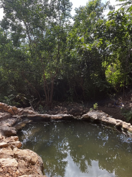 קובץ:2025-07-23T15 55 28.658575317174.jpg
