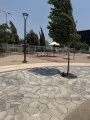 תמונה ממוזערת לגרסה מתאריך 10:07, 24 ביולי 2025