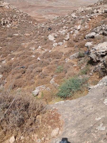 קובץ:2025-07-24T14 07 28.519643527038.jpg