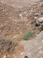 תמונה ממוזערת לגרסה מתאריך 10:57, 24 ביולי 2025