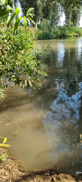קובץ:2025-07-24T15 31 06.287112286217.jpg