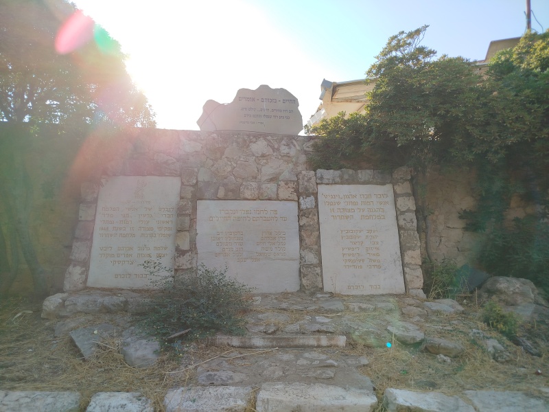 קובץ:2025-07-24T17 59 08.185881652565.jpg