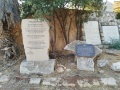 תמונה ממוזערת לגרסה מתאריך 14:34, 24 ביולי 2025