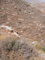 תמונה ממוזערת לגרסה מתאריך 19:28, 24 ביולי 2025