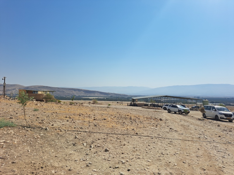 קובץ:2025-07-25T09 24 55.380819868039.jpg
