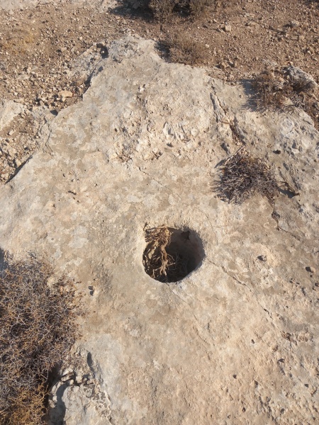 קובץ:2025-07-27T08 19 32.290363877736.jpg