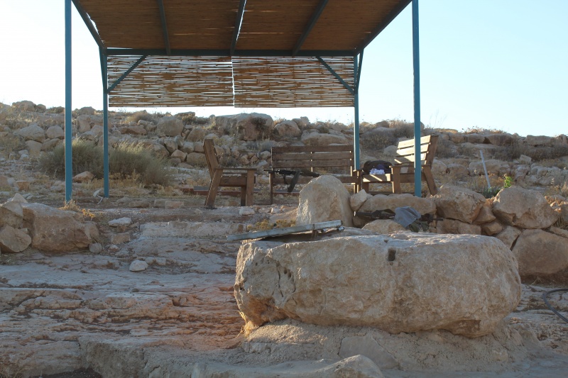 קובץ:2025-07-27T09 51 35.595134562991.jpg