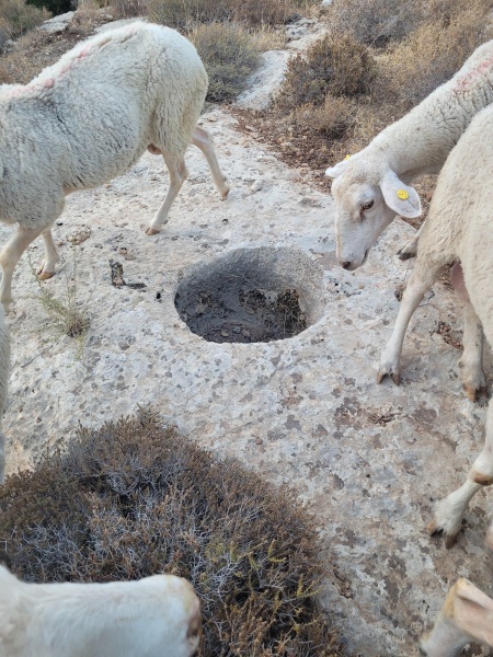 קובץ:2025-07-28T06 01 52.341535250022.jpg