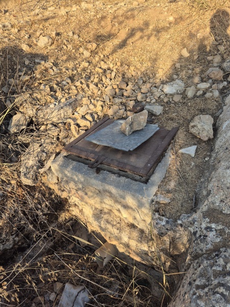 קובץ:2025-07-28T06 59 26.391535194207.jpg