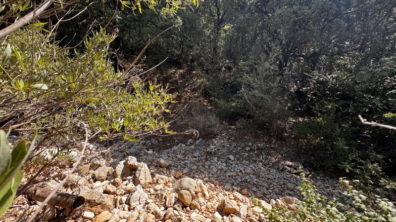 קובץ:2025-07-28T10 54 49.2052047120.jpg