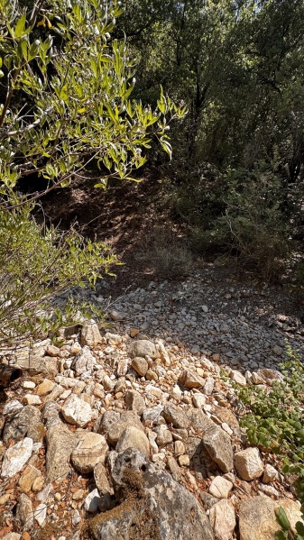 קובץ:2025-07-28T10 55 05.094282133627.jpg