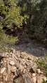 תמונה ממוזערת לגרסה מתאריך 07:37, 28 ביולי 2025