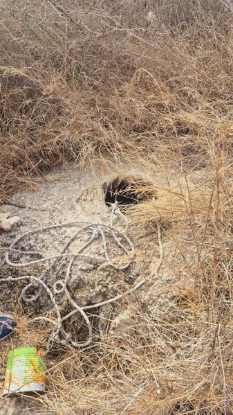 קובץ:2025-07-29T09 33 50.058855247095.jpg