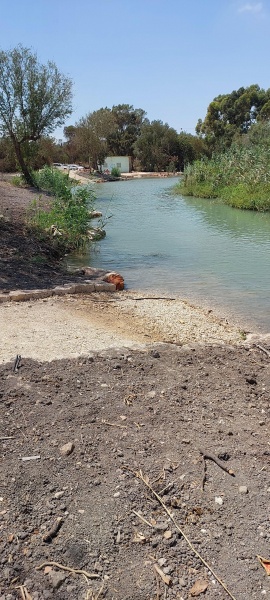 קובץ:2025-07-29T14 20 27.261072194910.jpg