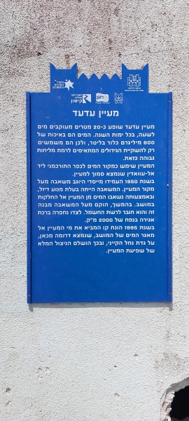 קובץ:2025-07-29T14 20 33.608410579560.jpg