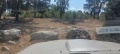 תמונה ממוזערת לגרסה מתאריך 11:21, 29 ביולי 2025