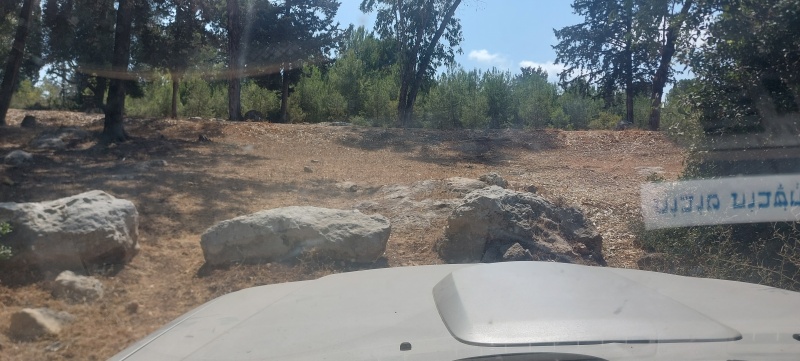 קובץ:2025-07-29T14 43 22.800437653885.jpg