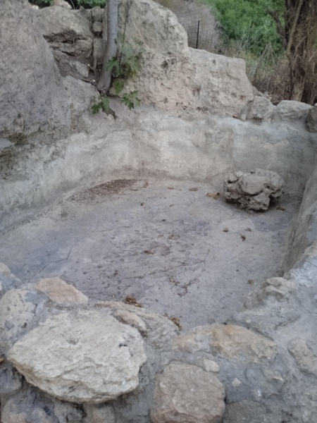 קובץ:2025-07-29T19 42 12.148796667473.jpg