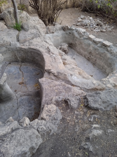 קובץ:2025-07-29T19 43 01.922278298276.jpg