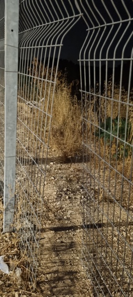 קובץ:2025-07-29T20 57 54.521791483375.jpg