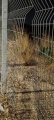 תמונה ממוזערת לגרסה מתאריך 17:32, 29 ביולי 2025