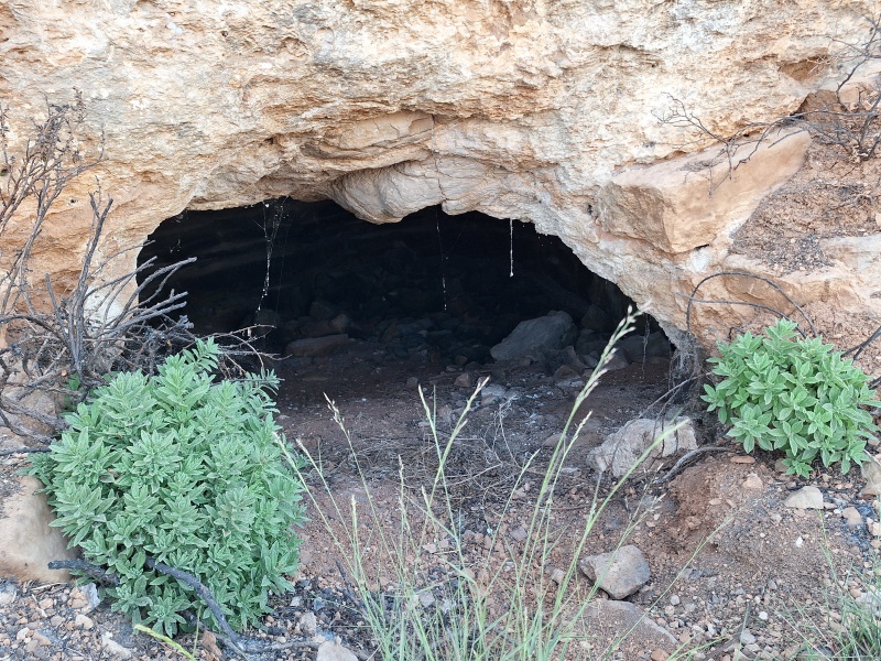 קובץ:2025-07-30T19 00 25.260864114333.jpg