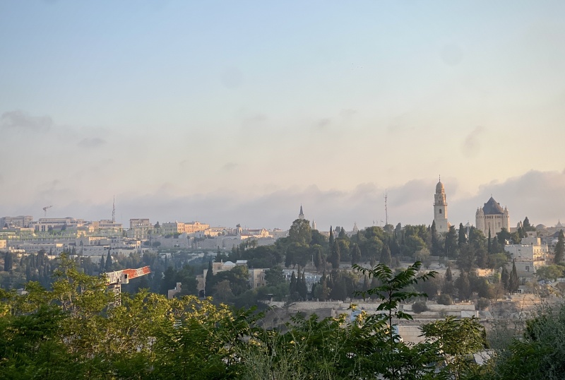 קובץ:2025-07-31T14 19 28.875065136823.jpg