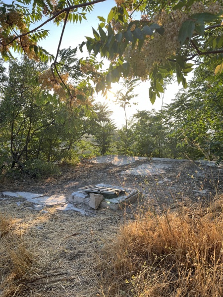 קובץ:2025-07-31T14 20 37.639384677457.jpg