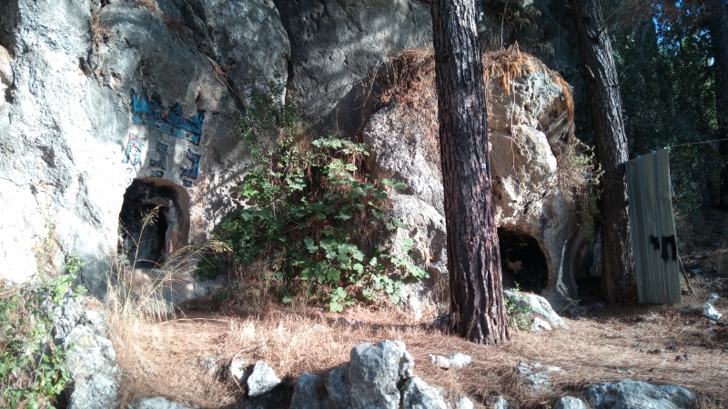 קובץ:2025-08-01T07 33 06.752268822429.jpg