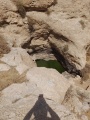 תמונה ממוזערת לגרסה מתאריך 14:33, 1 באוגוסט 2025