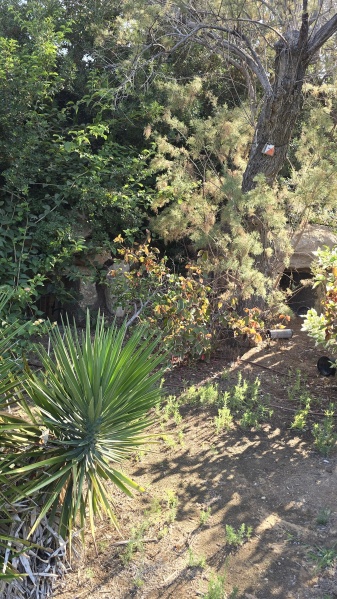 קובץ:2025-08-02T08 07 05.851843471487.jpg