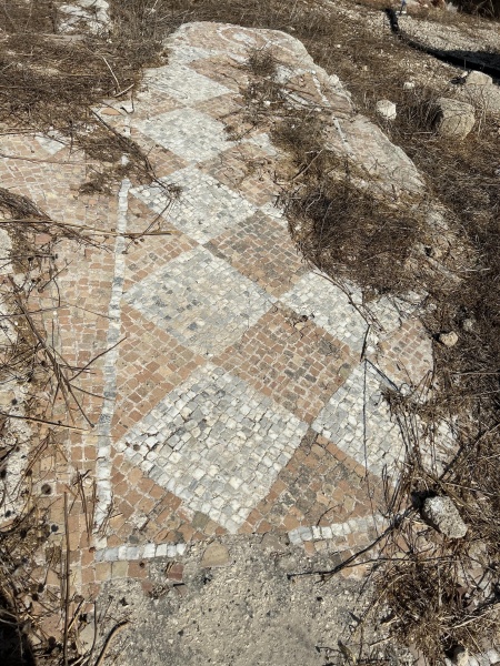 קובץ:2025-08-02T16 25 44.406862978166.jpg