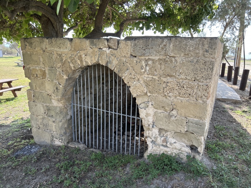 קובץ:2025-08-02T16 40 12.09289013606.jpg