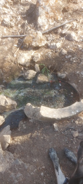 קובץ:2025-08-03T17 01 33.299212296322.jpg