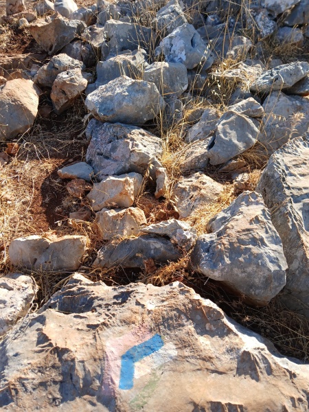 קובץ:2025-08-04T08 14 24.419718204773.jpg