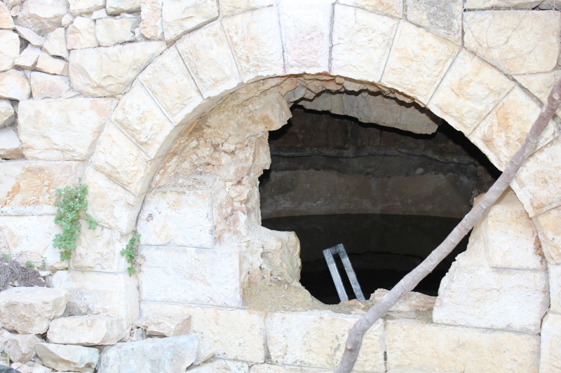 קובץ:2025-08-04T09 37 54.914186779707.jpg