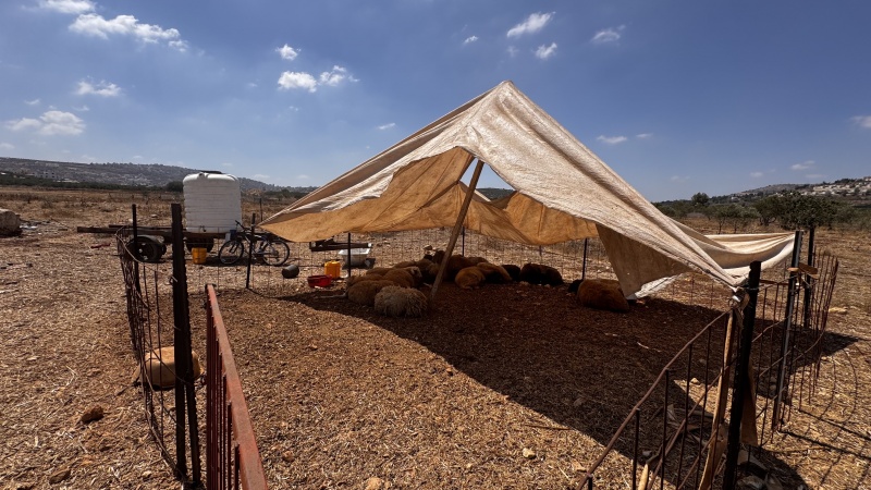 קובץ:2025-08-04T14 33 02.849471208462.jpg