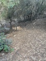 תמונה ממוזערת לגרסה מתאריך 14:20, 4 באוגוסט 2025