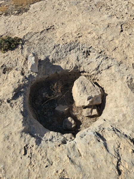 קובץ:2025-08-04T16 58 28.687070193635.jpg