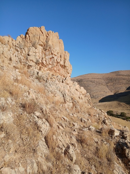 קובץ:2025-08-04T17 59 58.940783341984.jpg