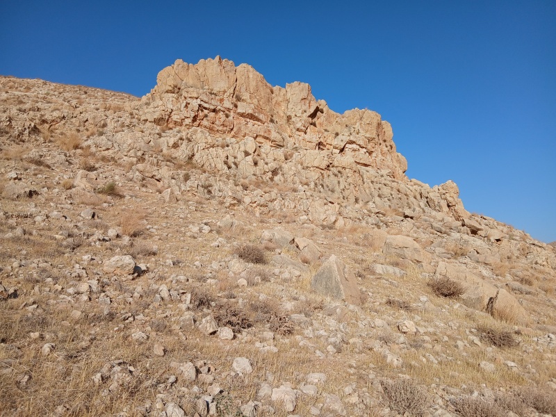 קובץ:2025-08-04T18 01 06.374824562433.jpg