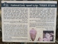 תמונה ממוזערת לגרסה מתאריך 16:18, 4 באוגוסט 2025