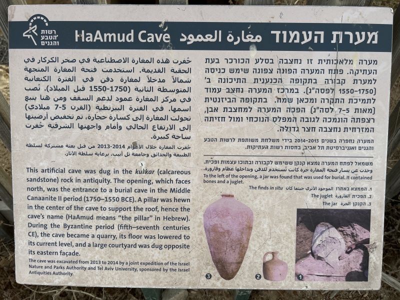 קובץ:2025-08-04T19 45 14.524872645095.jpg