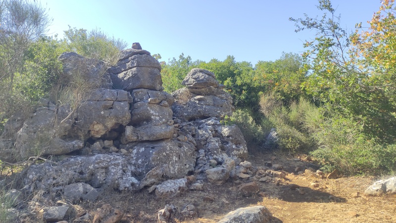 קובץ:2025-08-05T16 28 27.007876238376.jpg