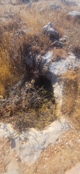 קובץ:2025-08-06T08 12 12.569793277602.jpg